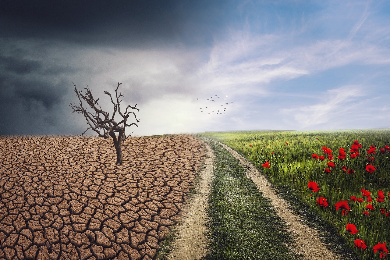 Climate Can’t Wait: The Fight for Our Planet